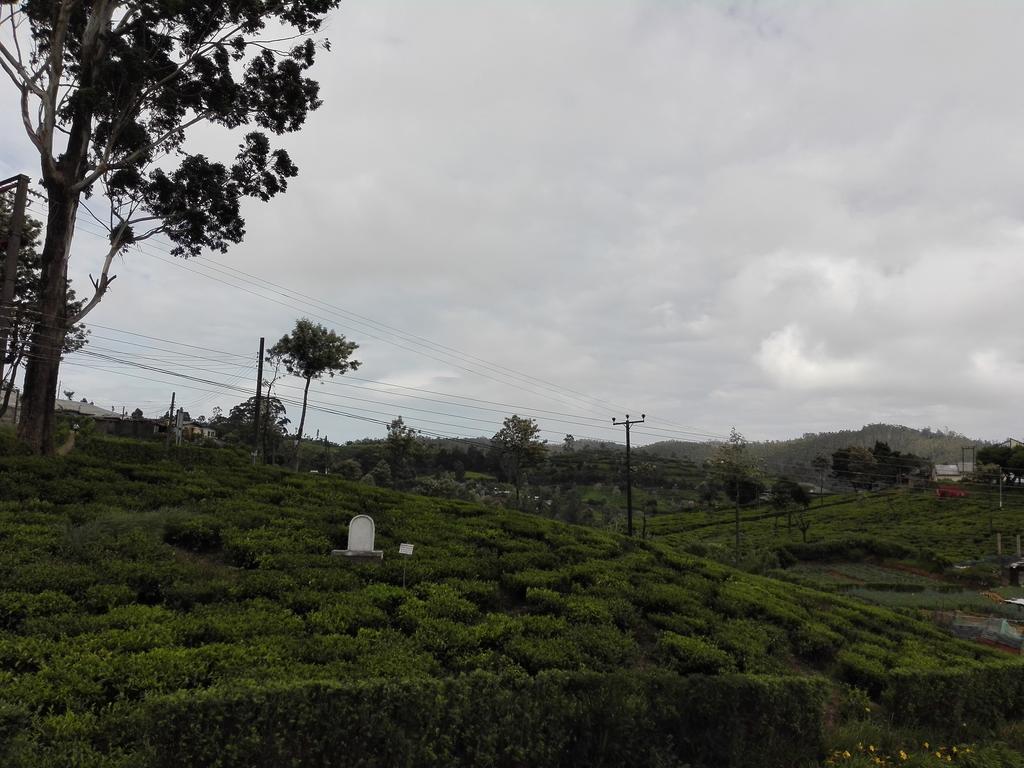 Pedro View Homestay Νουβάρα Ελίγια Εξωτερικό φωτογραφία